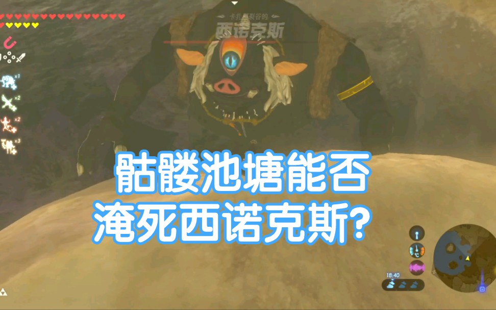 【塞尔达】将西诺克斯推到深不见底的骷髅池塘里能否淹死它?哔哩哔哩bilibili