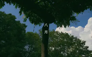 言葉企劃 搜索结果 哔哩哔哩 Bilibili