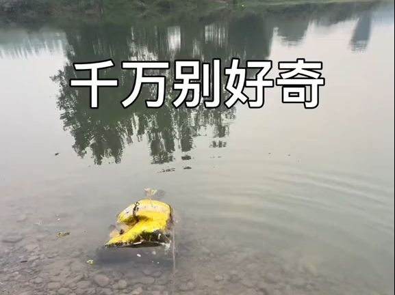 给兄弟们提个醒哔哩哔哩bilibili