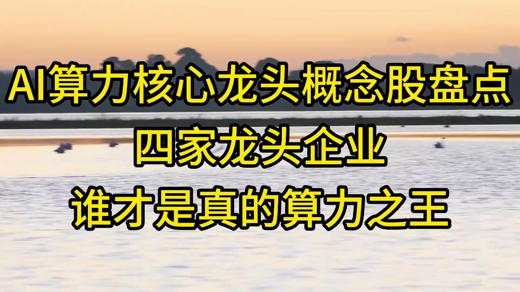 谁才是真的算力之王,AI算力核心龙头概念股,盘点四家龙头企业哔哩哔哩bilibili