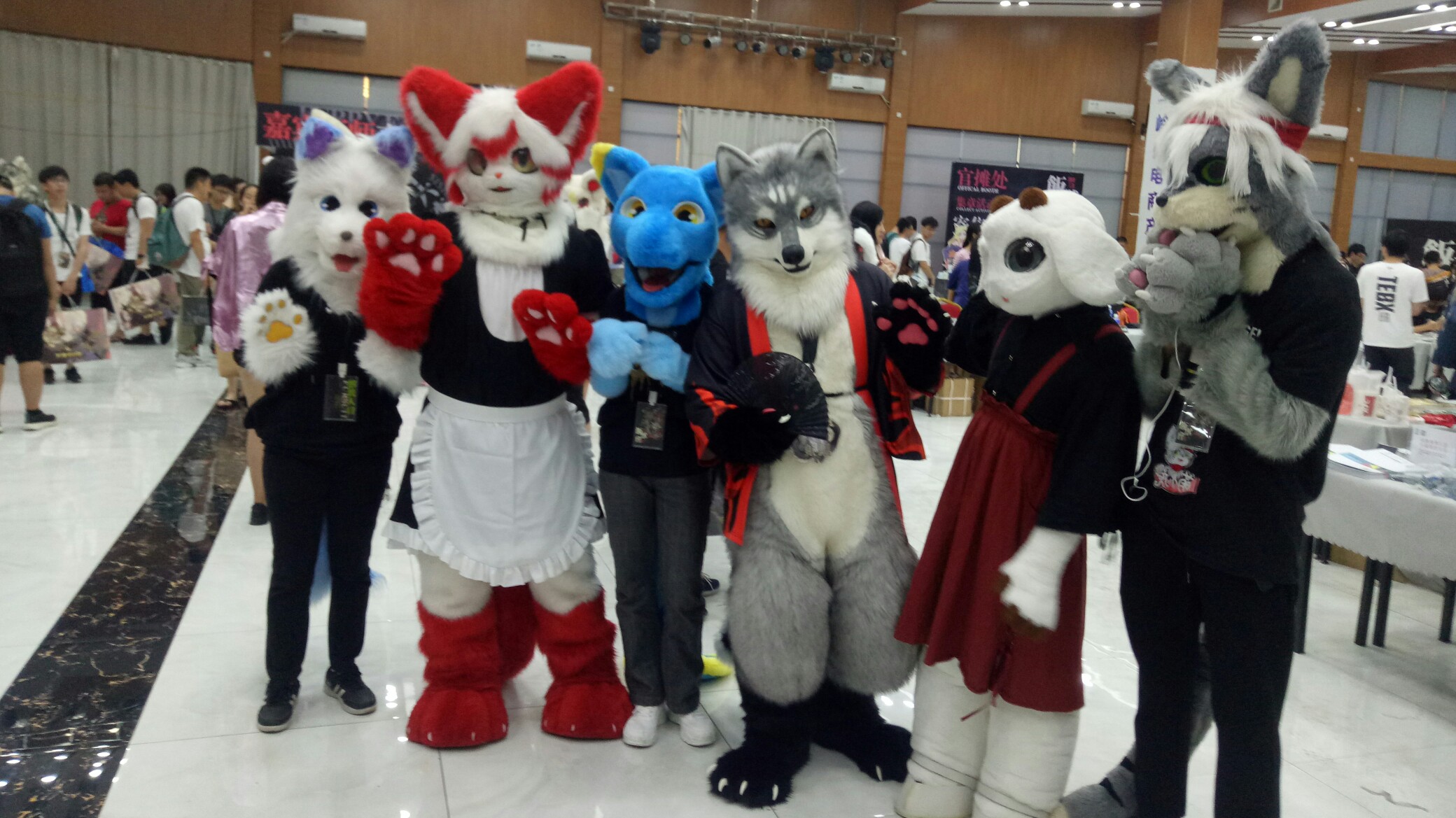 【兽展记录】#银雪的20180721广州饭兽会x