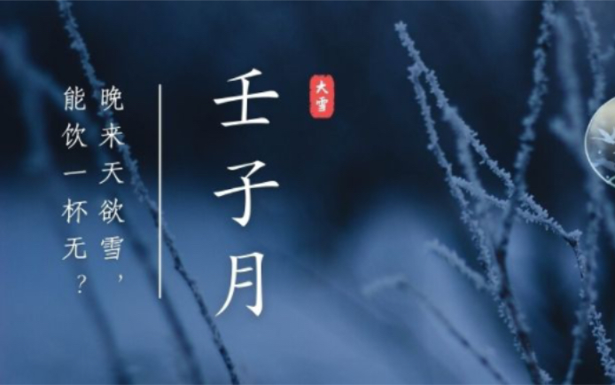 寒流来袭,危疾四伏壬子月(2022.12.72023.1.5)十天干流月运势哔哩哔哩bilibili