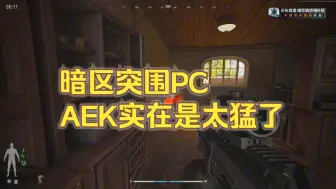 Download Video: 暗区突围PC武器推荐！版本TO级步枪AEK改装思路及实战素材