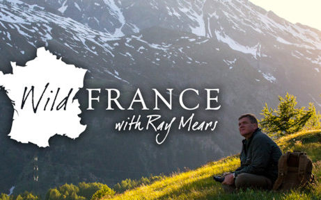 【ITV】雷ⷧ𑳥𐔦–栗„野性法国之旅 第一季(双语 | 纪录片)Wild France With Ray Mears(2016)哔哩哔哩bilibili