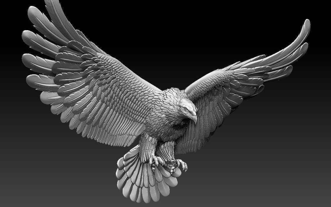 zbrush老鹰动物雕刻参考资料,zbrush雕刻资料