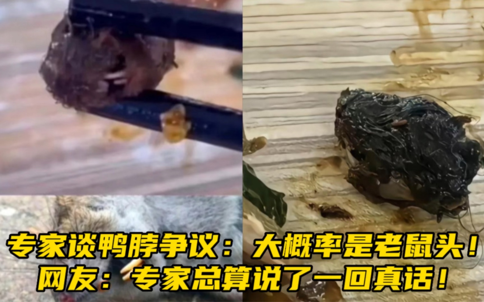 专家谈鸭脖争议:大概率是老鼠头!网友:专家总算说了一回真话!哔哩哔哩bilibili