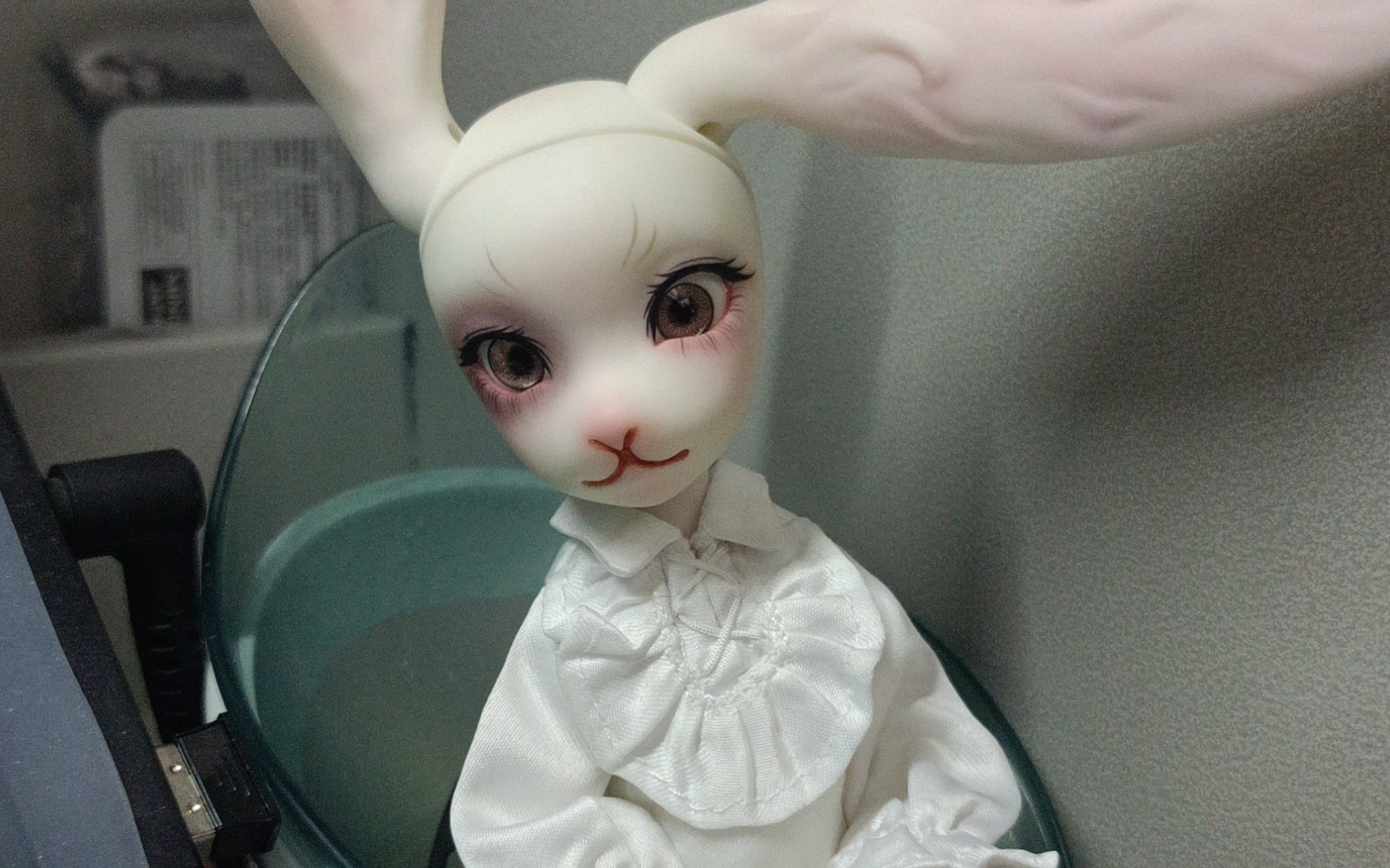 宿舍养bjd的记录【小宠】