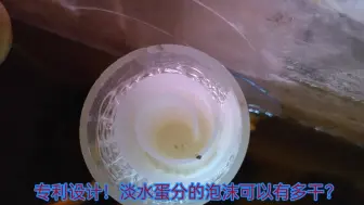 Download Video: 水魔力水族 新的专利设计！淡水蛋分的泡沫可以多干？持续更新中