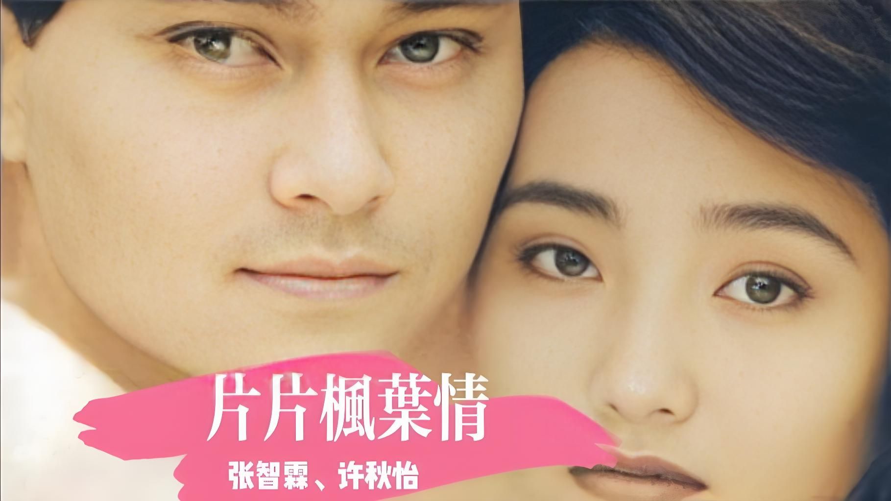 粤式柔情天花板 ｜张智霖 &许秋怡 -片片枫叶情[粤]