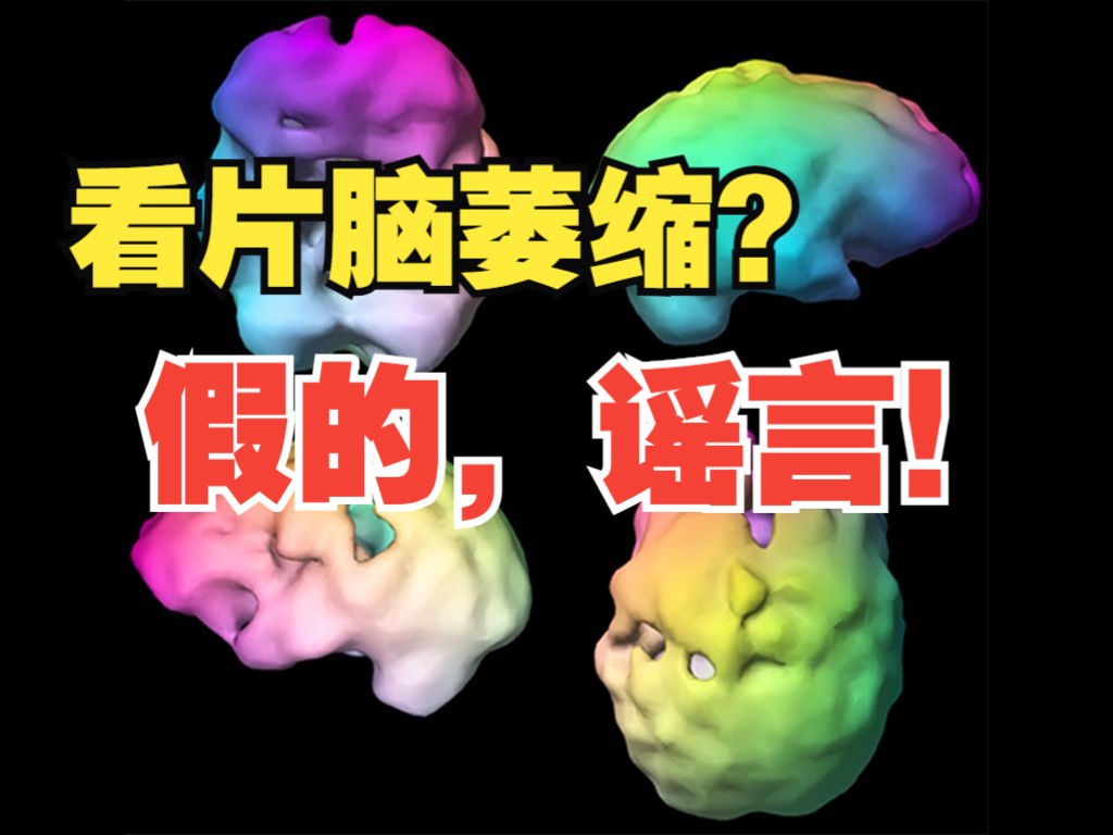 【脑科学】辟谣:沉迷色情片会让大脑萎缩的这样一个谣言.哔哩哔哩bilibili