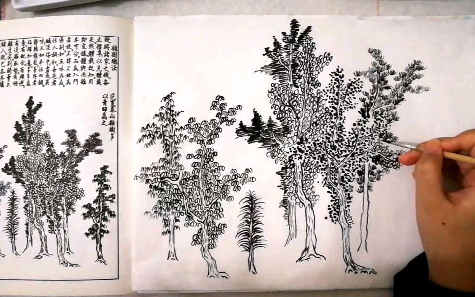 [图]国画练习:《芥子园画传》树谱，范宽春山杂树法