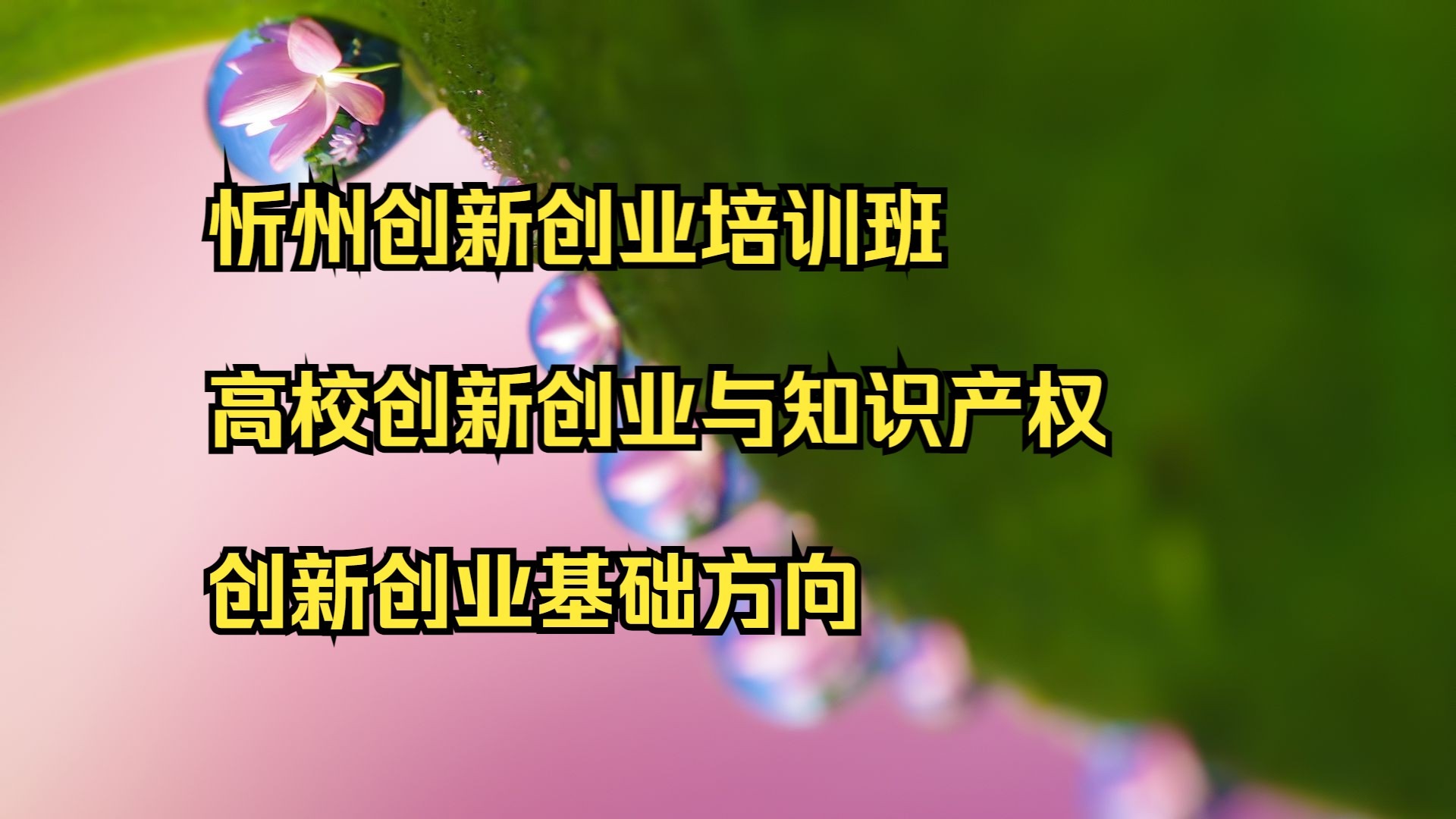 互联网创新创业与知识产权的关系(互联网创新创业与知识产权的关系是什么)