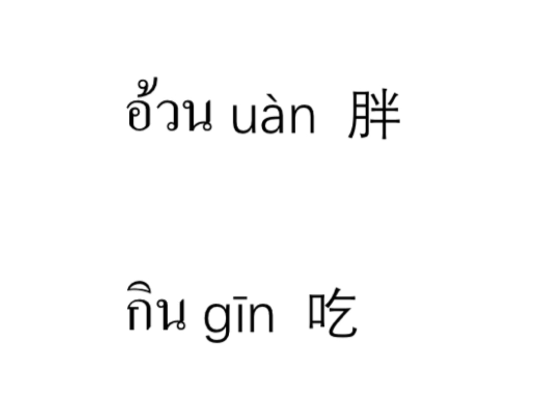 每日泰语泰语口语练习打卡,30秒轻松学泰语!哔哩哔哩bilibili