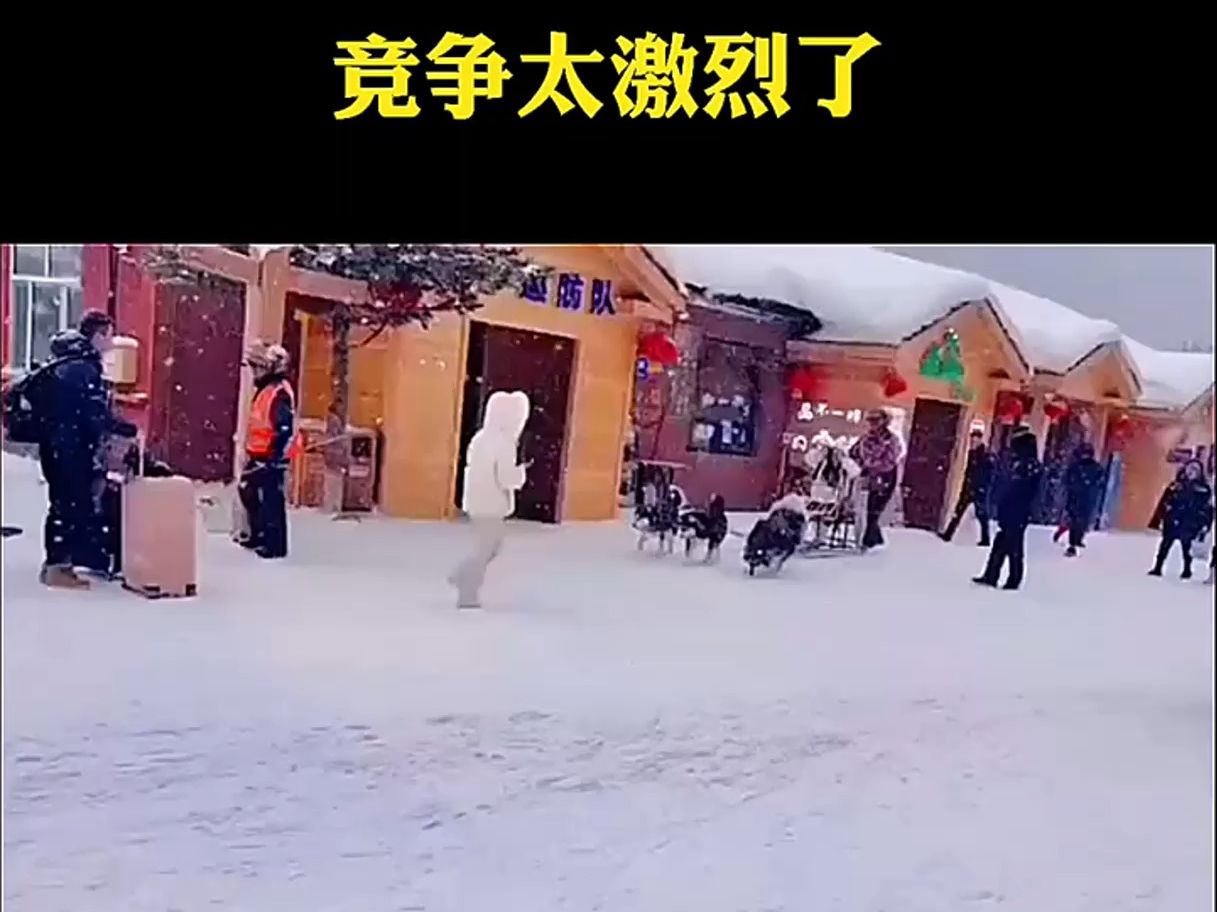 同行竞争太激烈了.哔哩哔哩bilibili