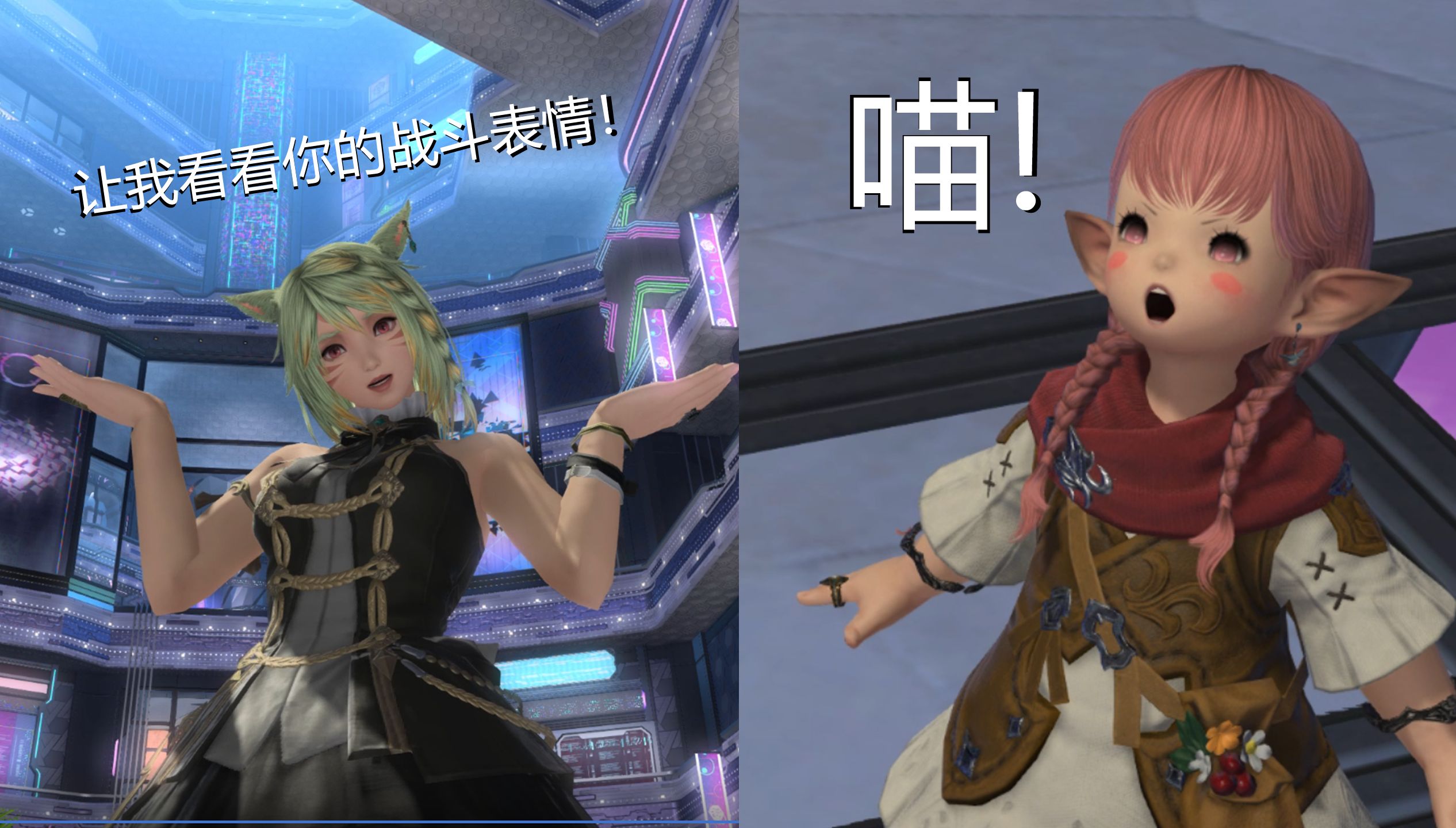 【FF14】小不点,让我看看你的战斗表情!网络游戏热门视频