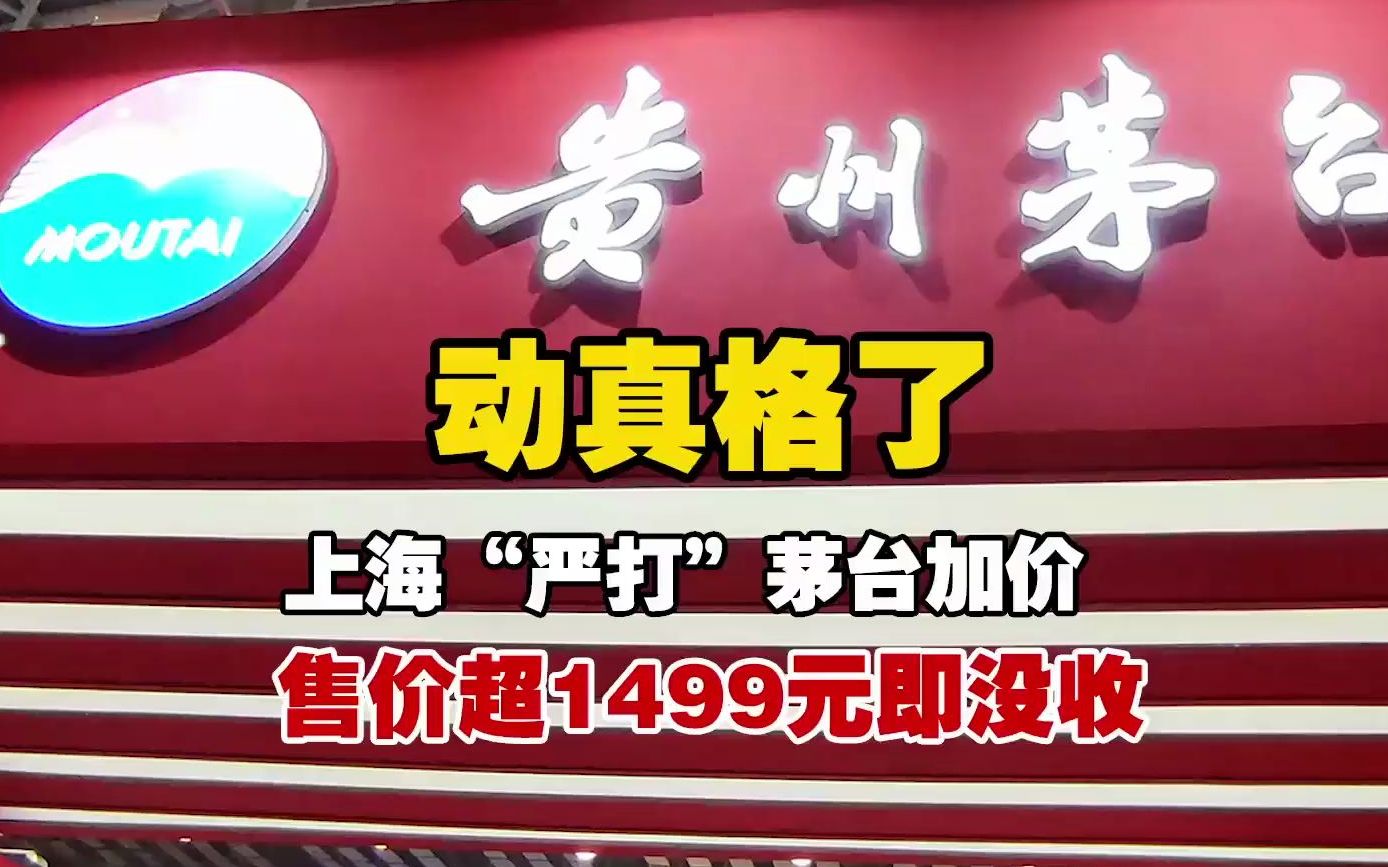 上海严打茅台加价:超1499元即没收【上海严打茅台加价销售动真格 售价超1499元即没收】哔哩哔哩bilibili