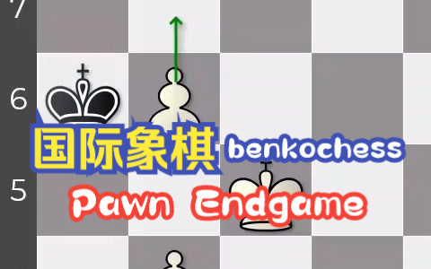 国际象棋benkochess 国际象棋残局 (Pawn Endgame / Opposition)