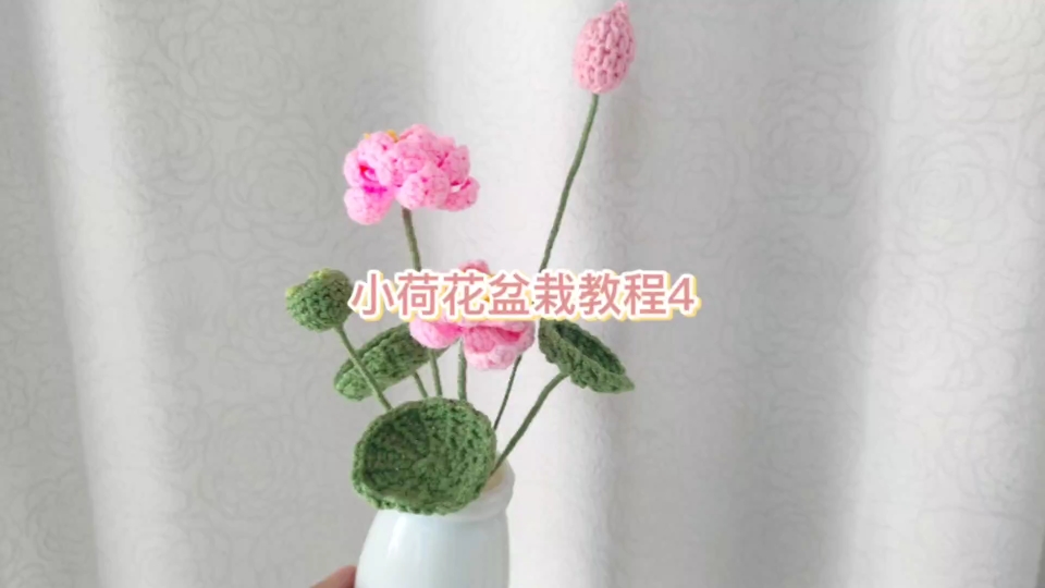 小荷花盆栽教程4哔哩哔哩bilibili