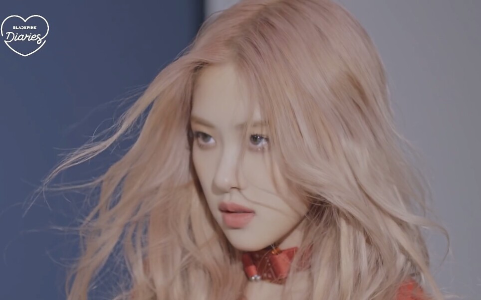 【中字】blackpink diaries ep.7 两站联合自制中字 bp团综