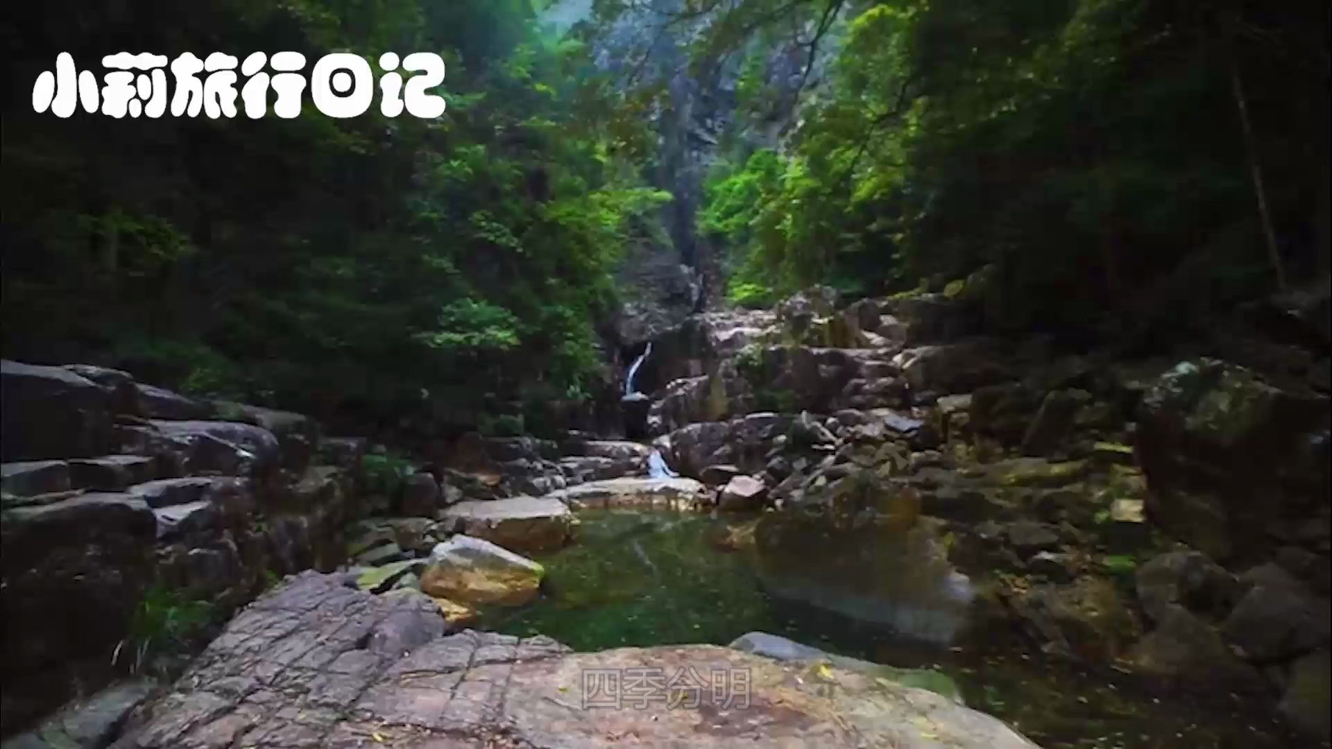 [图]春天最美的山村，漫山遍野开满鲜花，说是仙境也不为过！