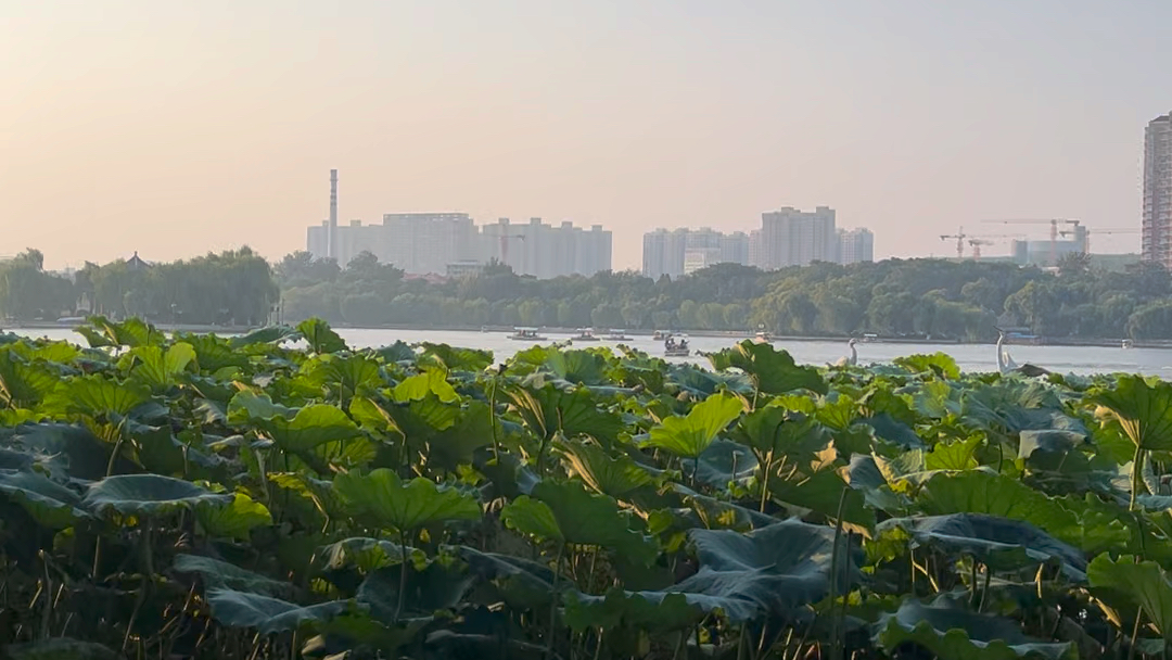 济南大明湖畔 会记得下午的微风