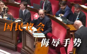 Video herunterladen: 法国国民议会新下限，部长竖中指