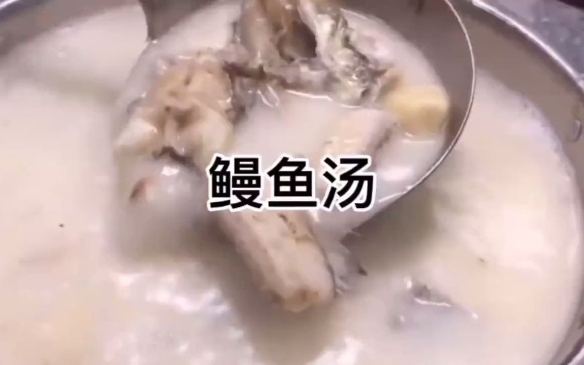 美食每天分享%鳗鱼汤哔哩哔哩bilibili