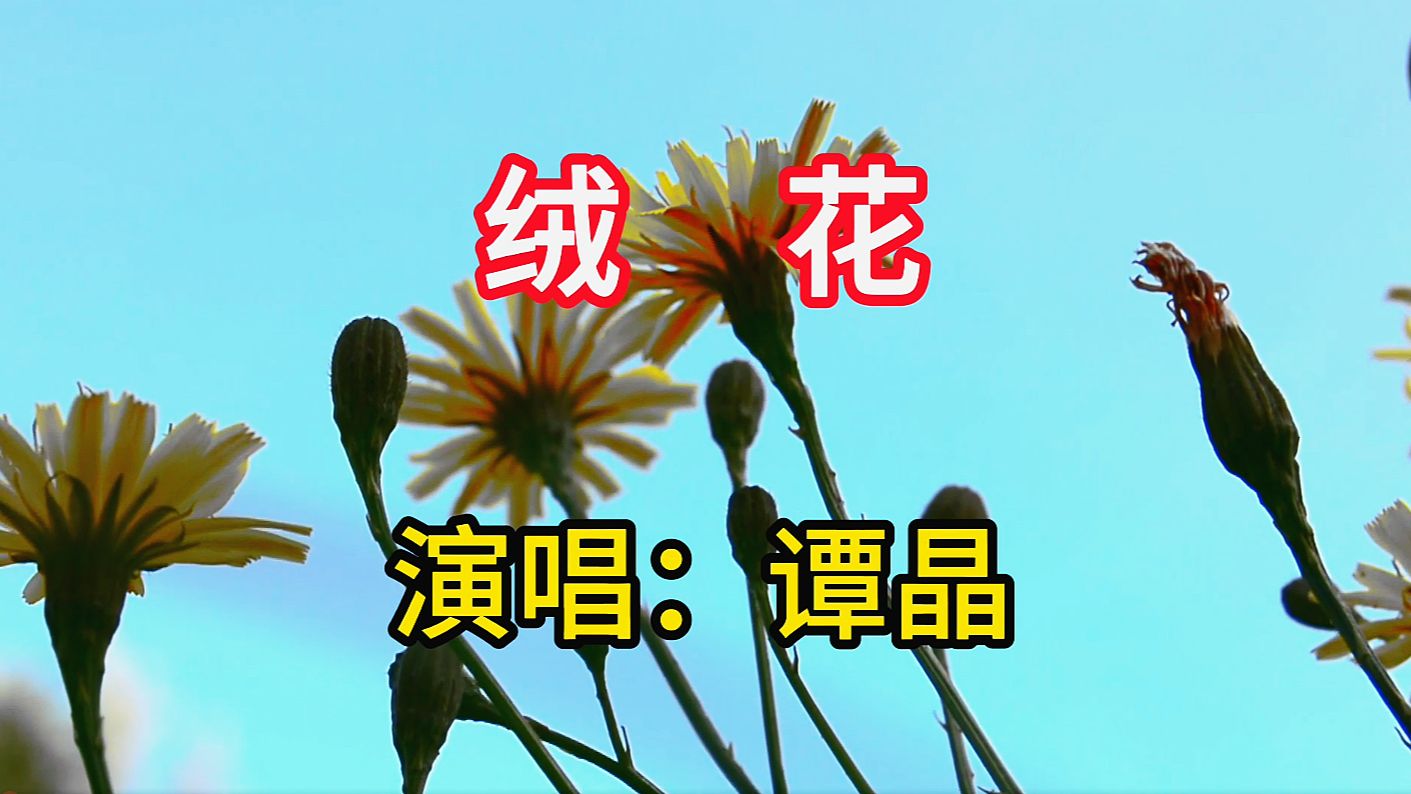 谭晶演唱《绒花》