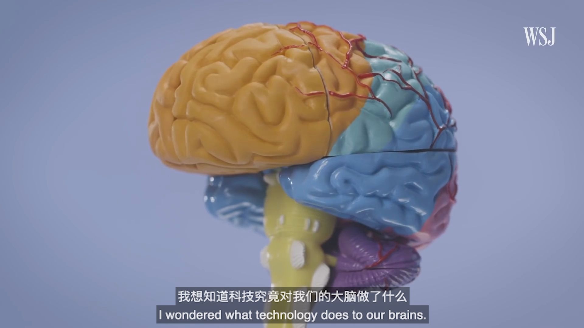 中英双语字幕华尔街日报智能手机是如何破坏你大脑的专注力的