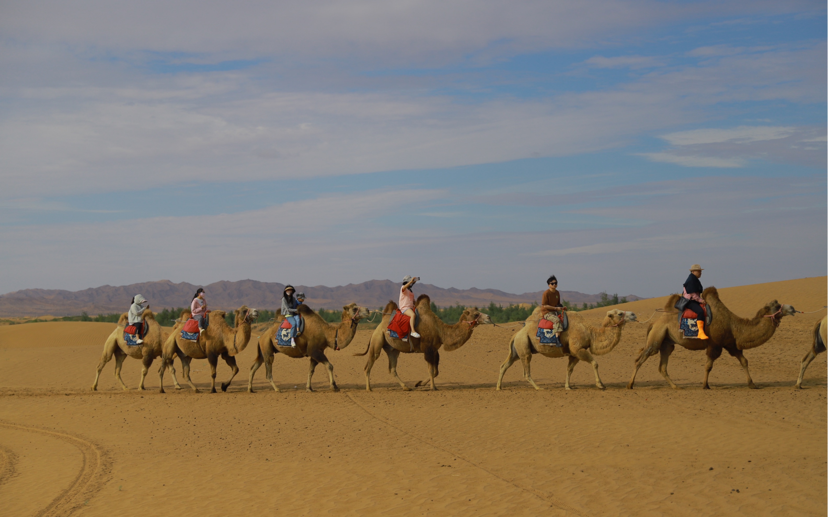 "阿拉善盟我素未谋面的故乡"