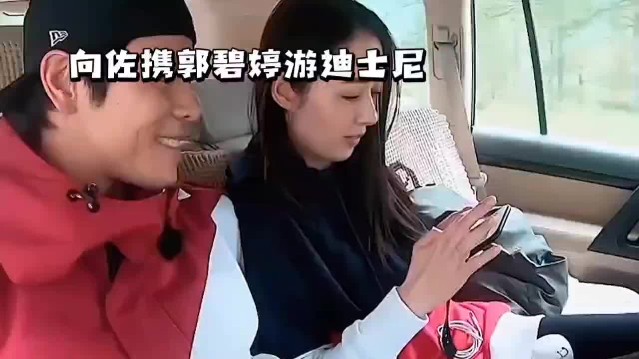 向左携郭碧婷游迪士尼哔哩哔哩bilibili