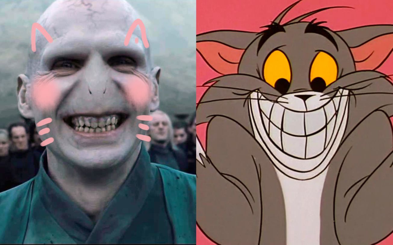 【伏地魔x汤姆】世界上的另一个我