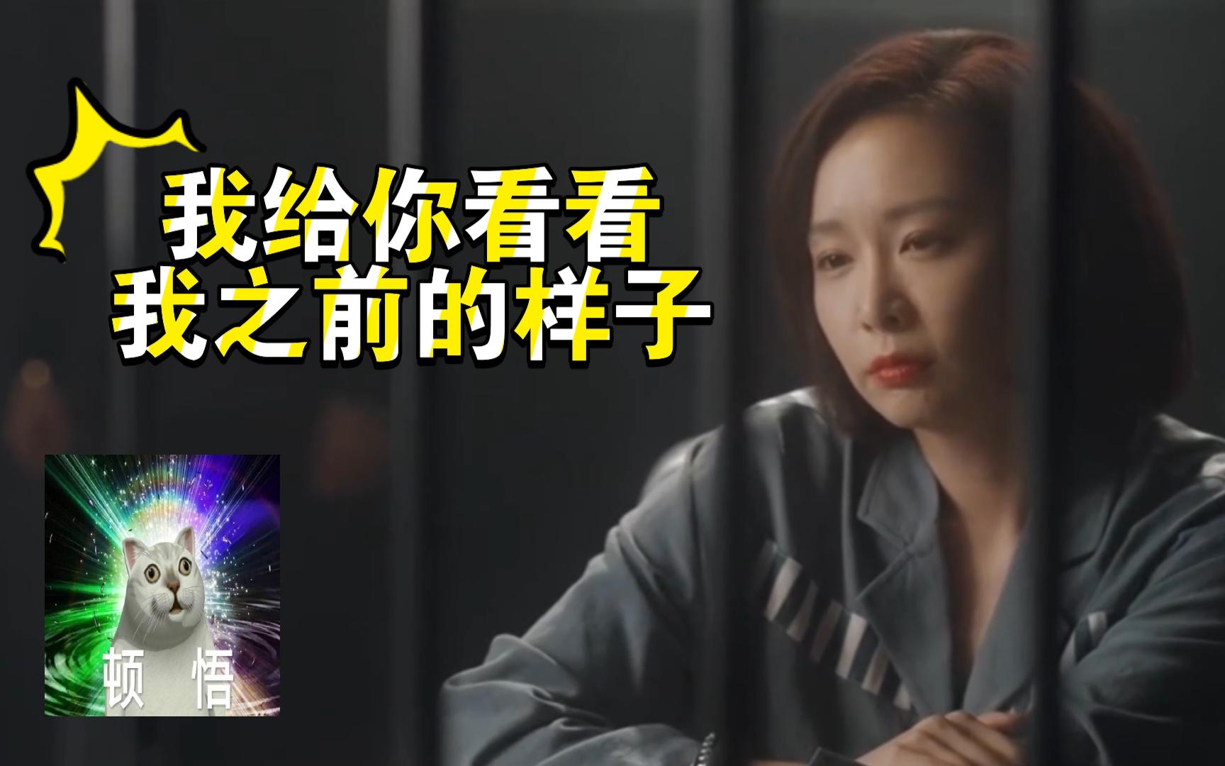 【高叶-大嫂-第一拽姐-你看不见我以前的样子《猎罪图鉴-褚英子&