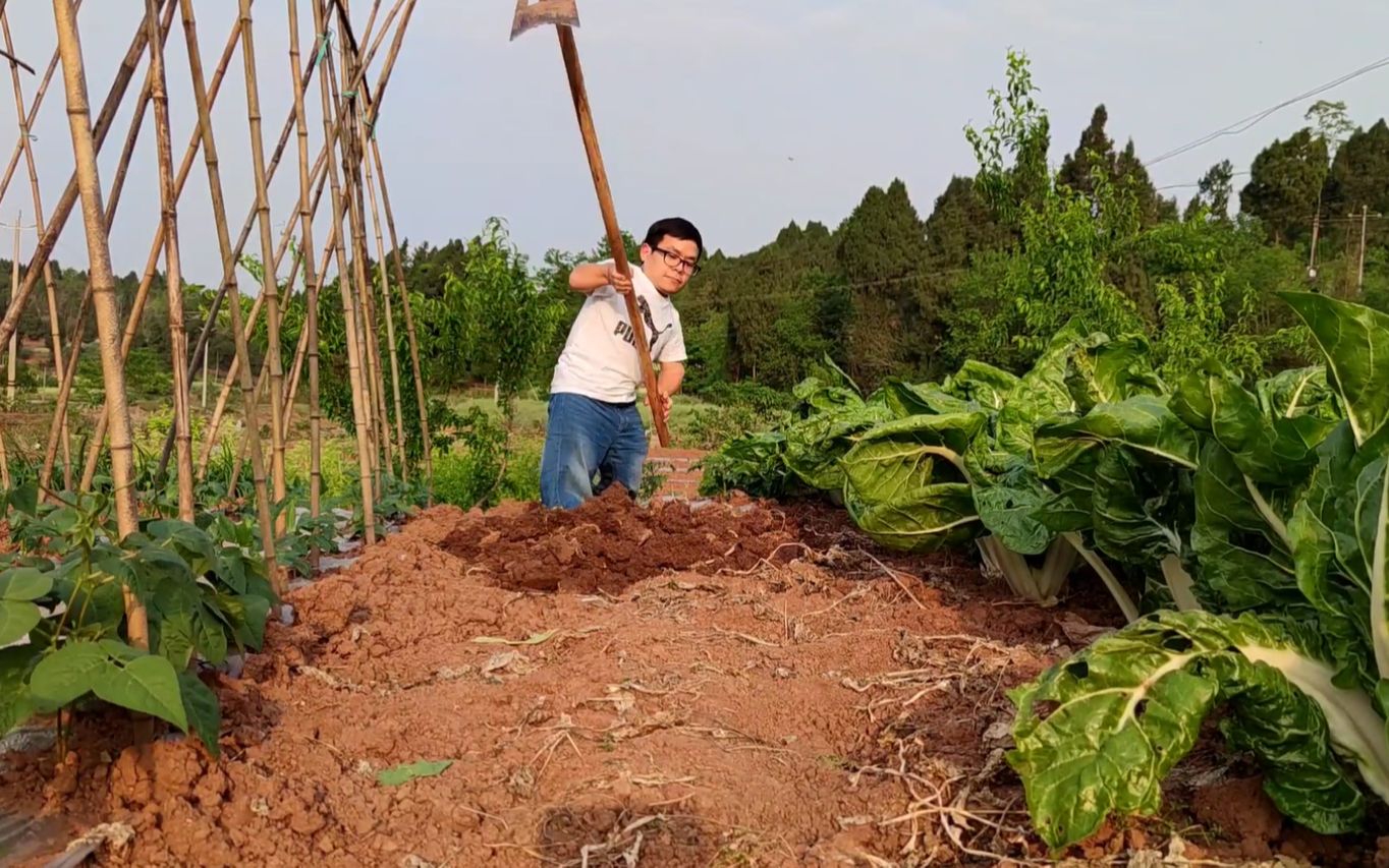 [图]码农回乡第六天，觉得城市里天空太窄,忽然想回家种地