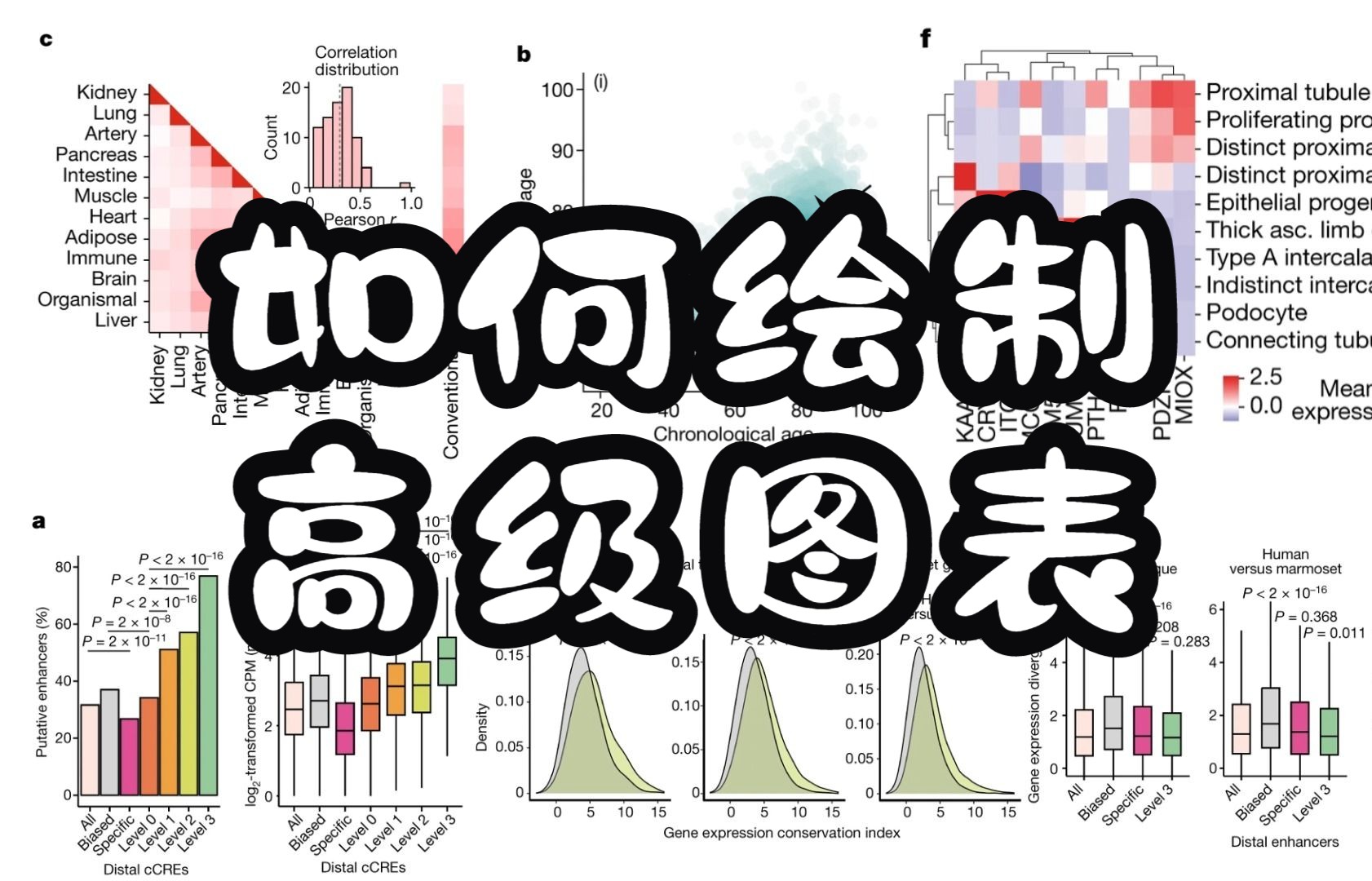 【科研工具】SCI论文中的加分图表是如何绘制的?哔哩哔哩bilibili