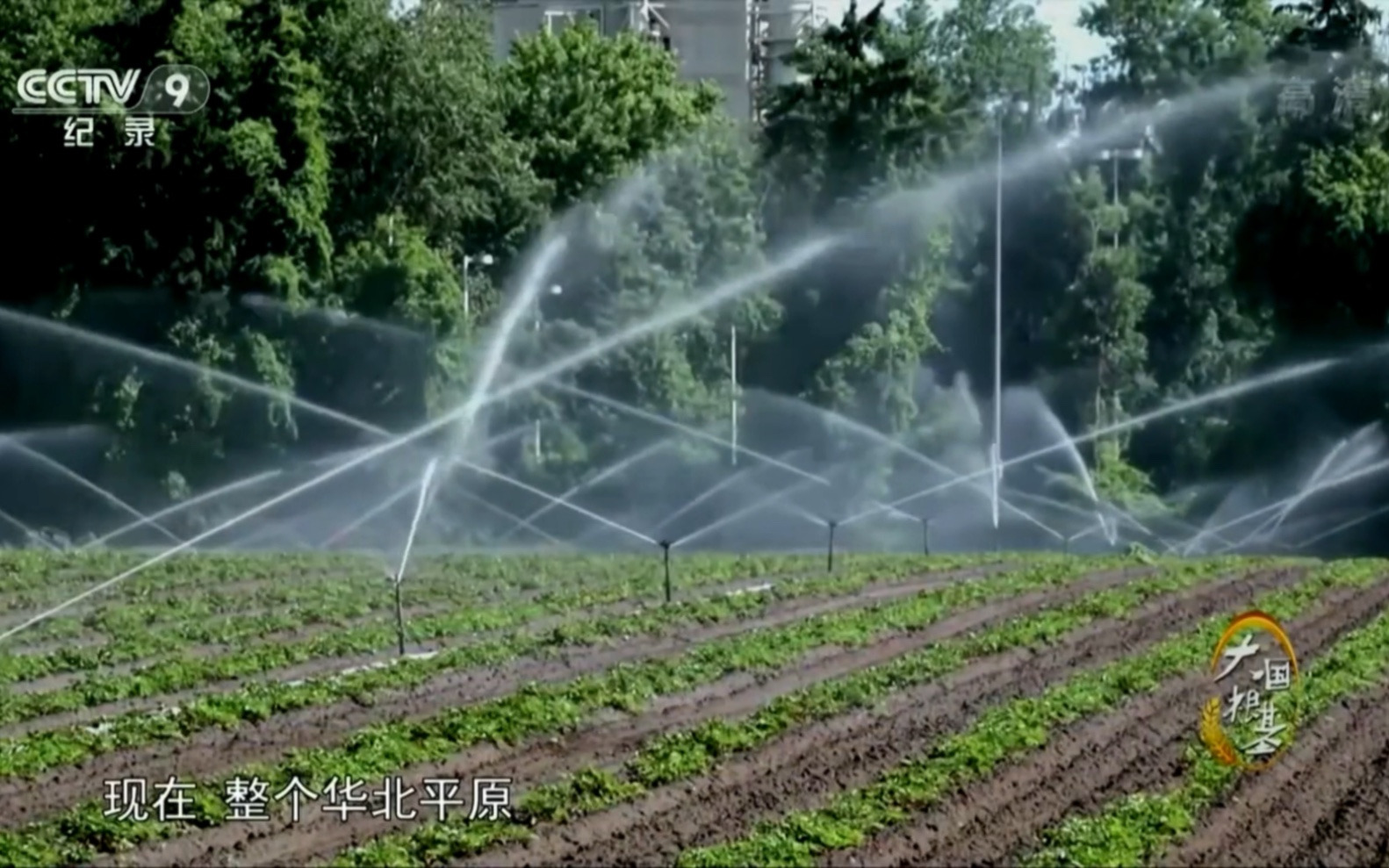 【有关地理】华北平原,缺水问题,水肥一体化,节水农业哔哩哔哩bilibili