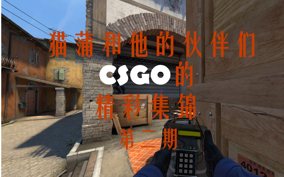 【CSGO集锦】猫蒲和他的伙伴们CSGO的精彩集锦第二期哔哩哔哩bilibili