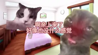 Download Video: 【猫meme】一门之隔！躲着长辈和表姐练习kiss