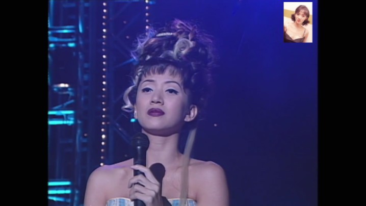 《梅艳芳》1995公益金友好演唱会(超高清)
