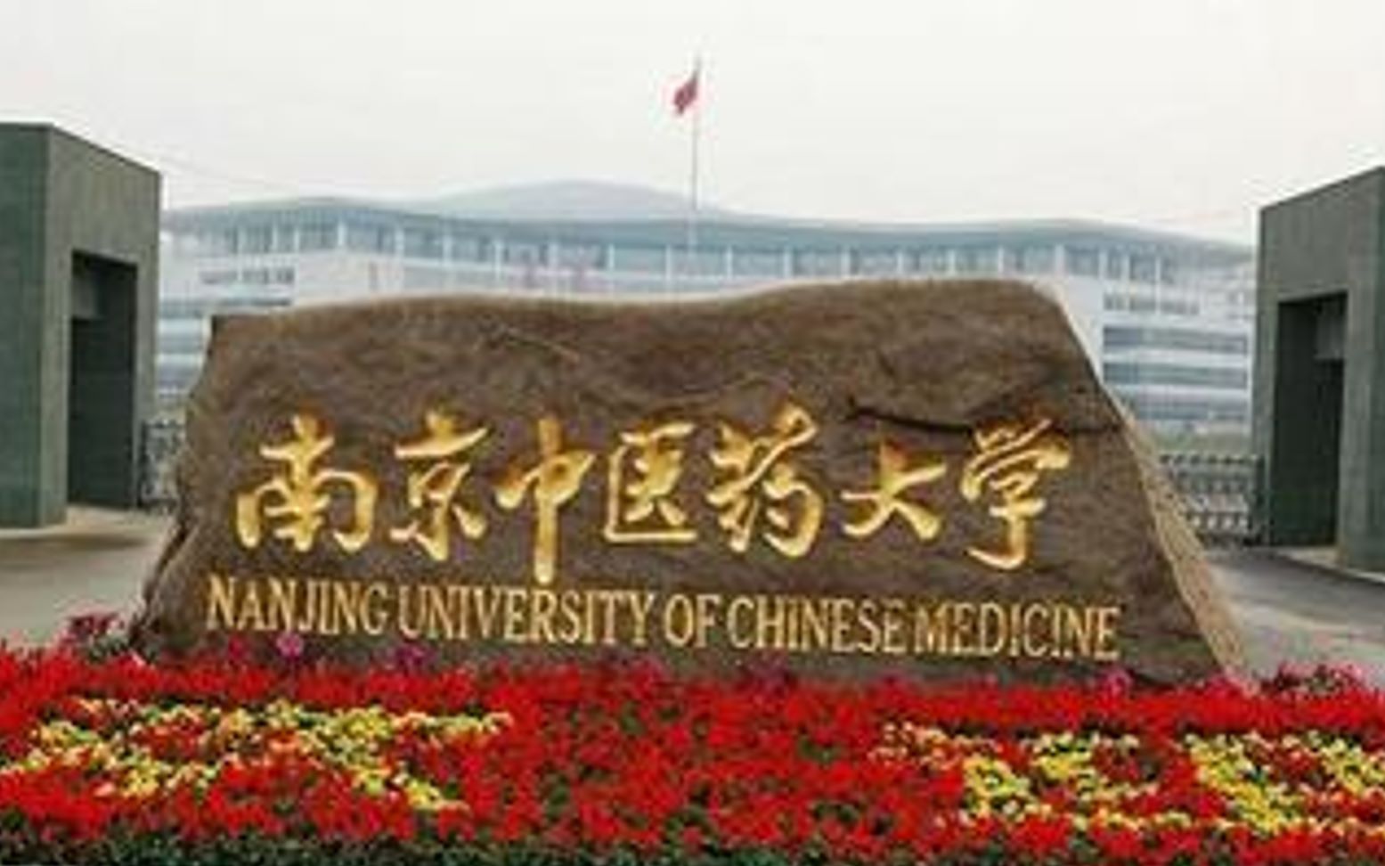 南京中医药大学宣传片哔哩哔哩bilibili