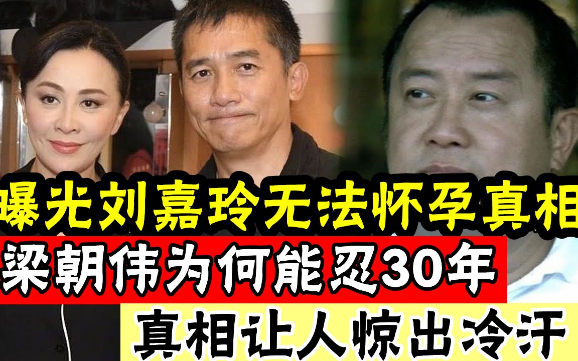 [图]曝光刘嘉玲无法怀孕真相？ 31年前被曾志伟深夜喊去打麻将，结果经历了人生“黑色3小时”，梁朝伟为何能忍30年？真相让人惊出冷汗#辣评娱圈