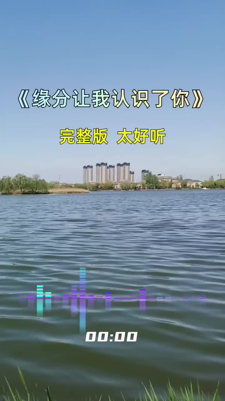 缘分让我认识了你热门音乐抖音热歌推荐好歌分享