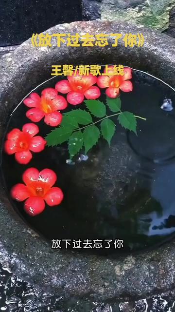 午夜的细雨淅淅沥沥手机里照片翻开又收起你离开那天我泪眼迷离好想把你挽留不让你远去记忆里残留点点滴滴给你的信息删了又写起离别的情景我心如血滴...