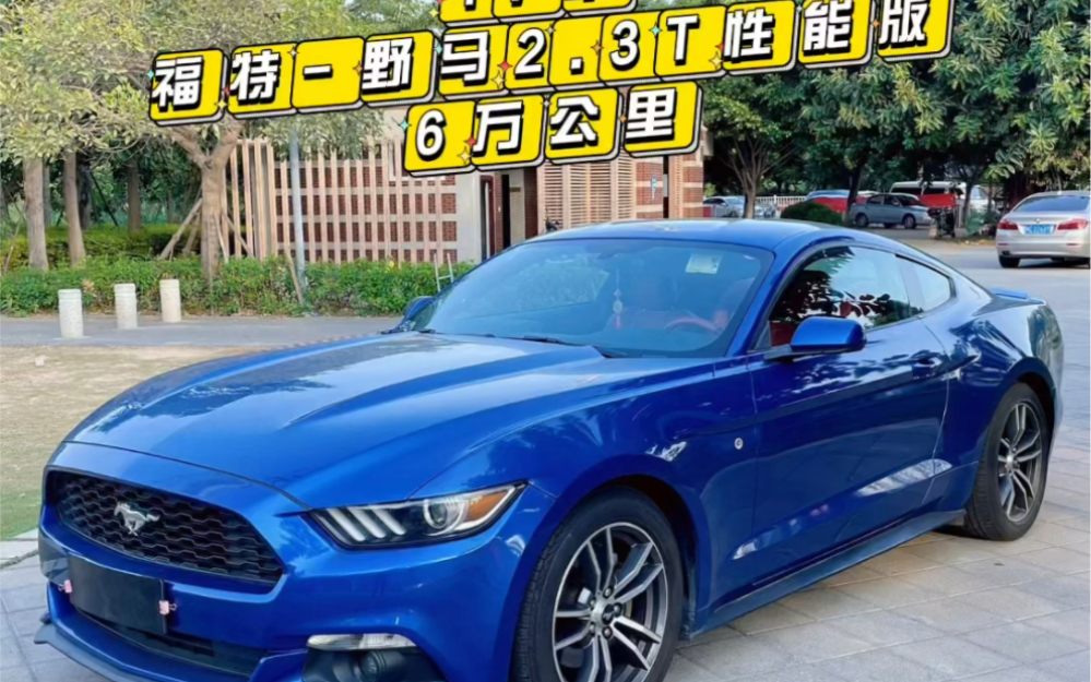 17年12月上牌福特野马2.
