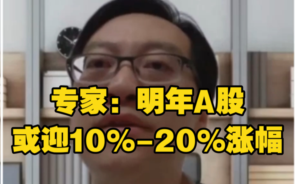 专家:明年A股或迎10%20%涨幅哔哩哔哩bilibili