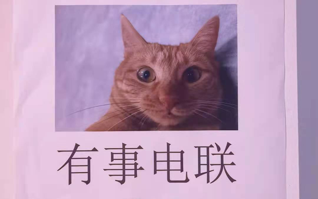 接到神秘人电话咕咕咕