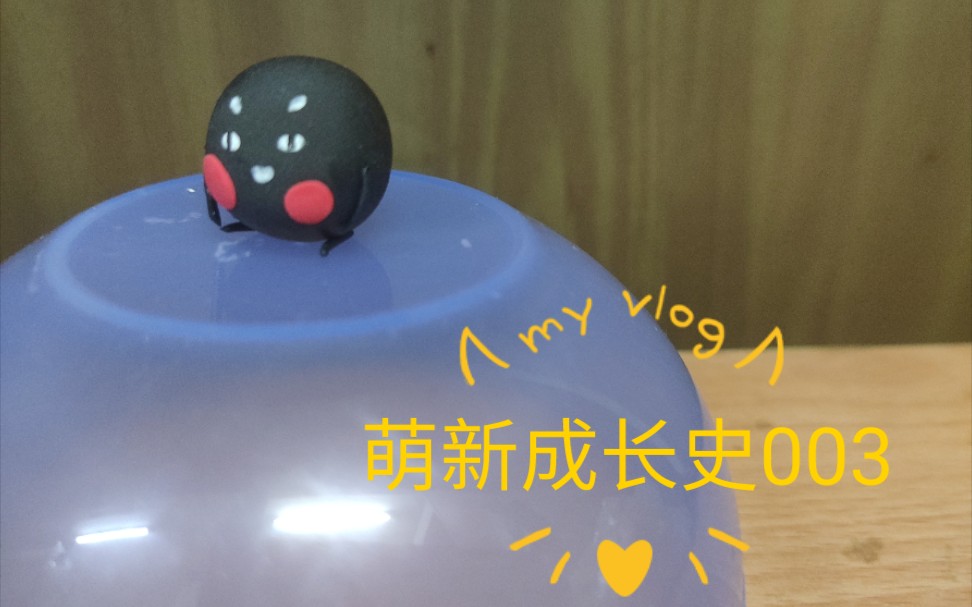 勋崽李建勋珍珠的制作过程oω萌新成长史003