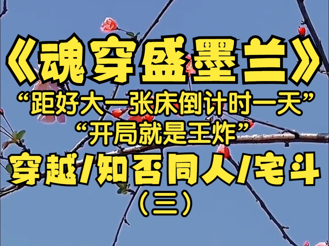 作为21世纪的新青年我竟然穿越了到了知否里,本以为会拿个女主剧本谁承想竟然穿成了咱们大名鼎鼎的盛四姑娘,呵呵我该说什么...好大一张床?哔哩哔...