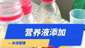 掌握这项技术，你离成功种菜又近了一步。 #种菜 #技术