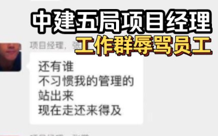 中建五局一项目经理被曝在工作群辱骂员工,公司:其已被停职调查哔哩哔哩bilibili